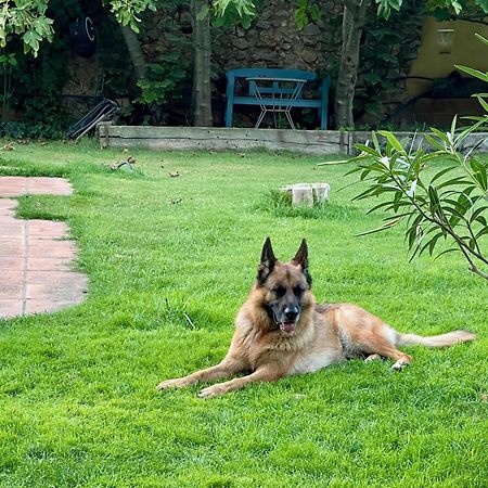 Santa Caterina - Dog Friendly With Garden Villa Sobrestany Dış mekan fotoğraf