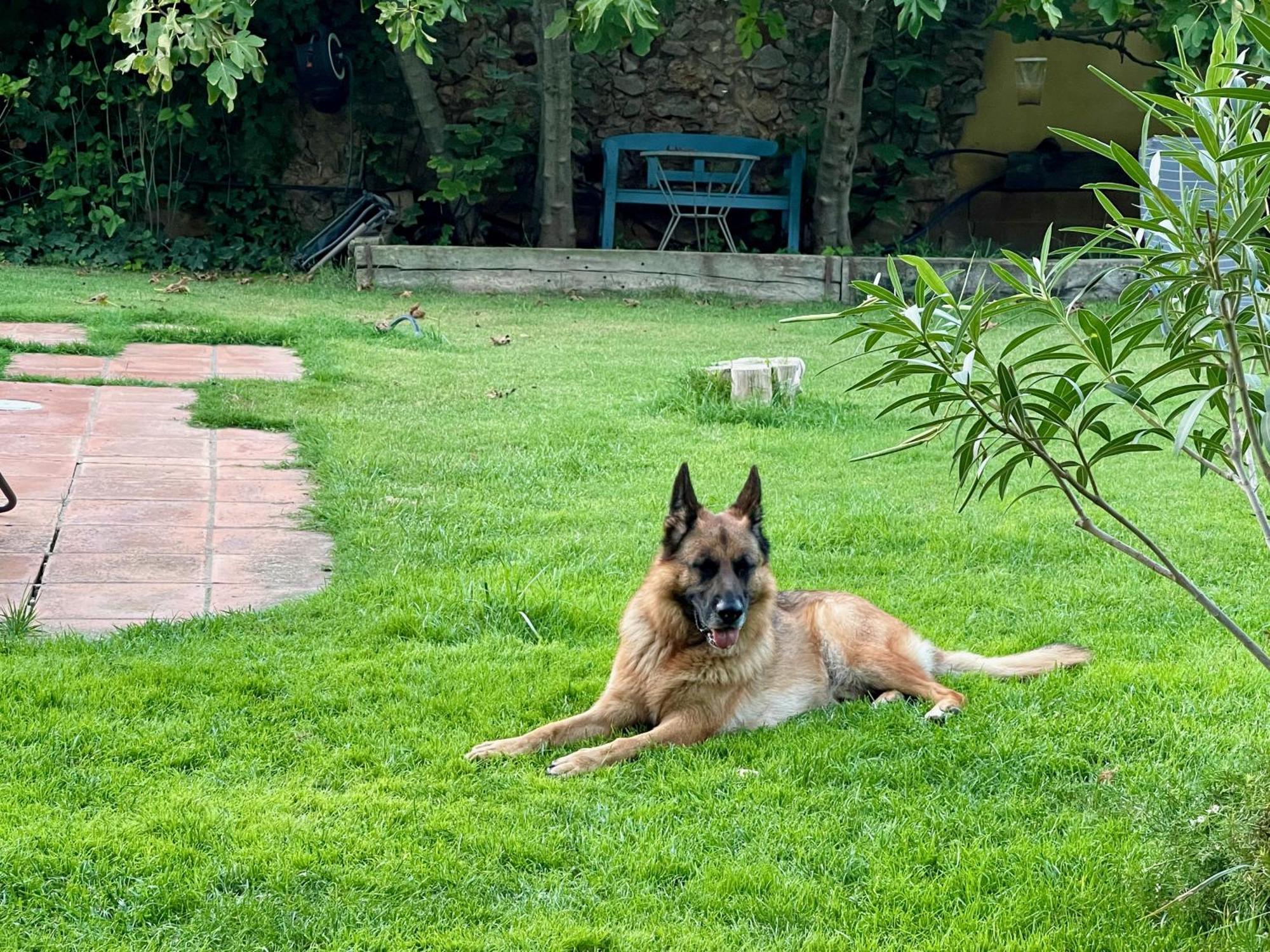 Santa Caterina - Dog Friendly With Garden Villa Sobrestany Dış mekan fotoğraf